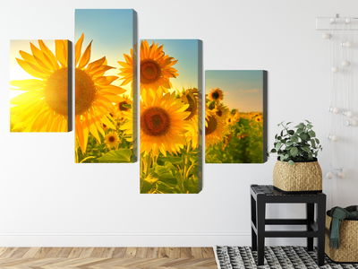 Ljuddämpande tavla - Sunflower field at sunset 3d