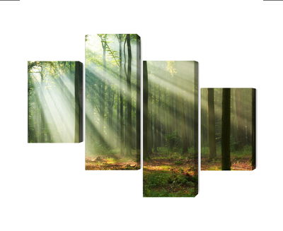 Ljuddämpande tavla - Forest landscape