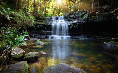 Ljuddämpande tavla - A waterfall in the bush