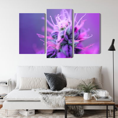 Ljuddämpande tavla - Macro plant on a pink-purple