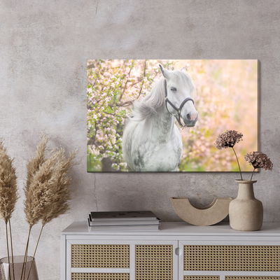 Ljuddämpande tavla - Horse on a background