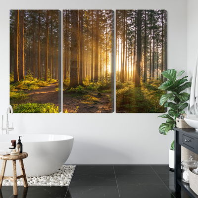 Ljuddämpande tavla - Sunset in the forest