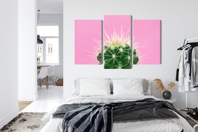 Ljuddämpande tavla - Cactus on a pink background