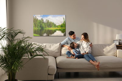 Ljuddämpande tavla - Forest landscape with a lake