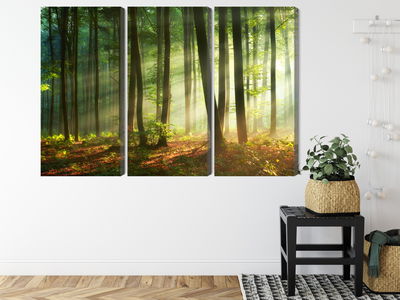 Ljuddämpande tavla - The rays of the sun