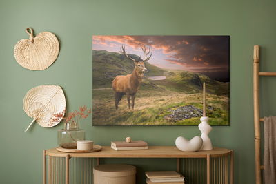 Ljuddämpande tavla - A deer on a background