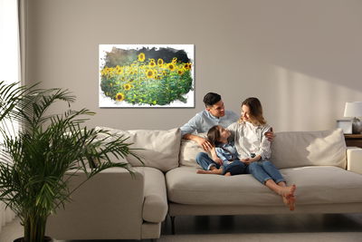 Ljuddämpande tavla - A field of sunflowers