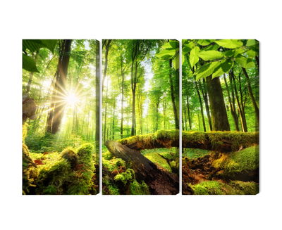 Ljuddämpande tavla - Rays of the sun in the 3d