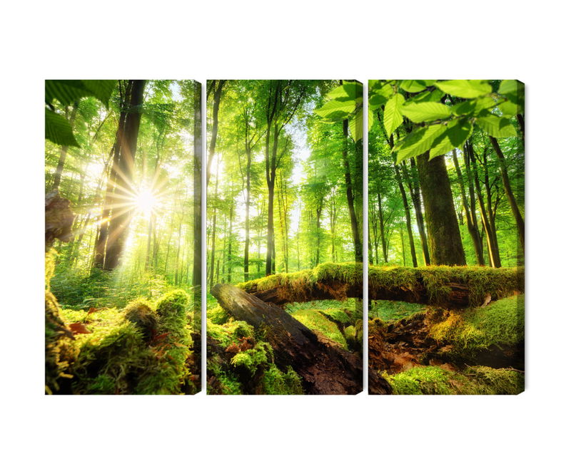 Ljuddämpande tavla - Rays of the sun in the 3d