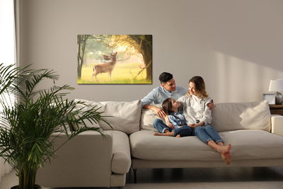 Ljuddämpande tavla - A prominent deer among