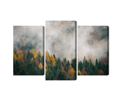 Ljuddämpande tavla - Autumn forest in fog 3d