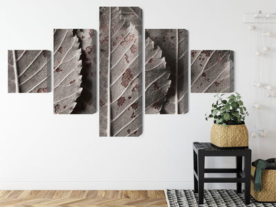 Ljuddämpande tavla - Gray leaves on a macro scale