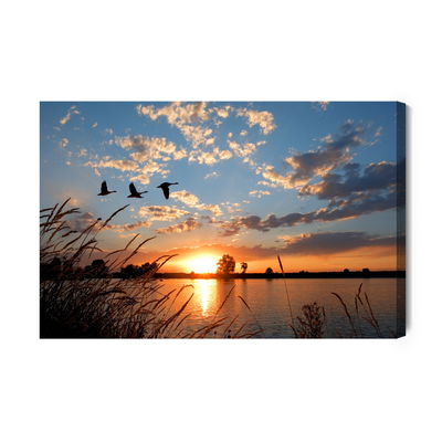 Ljuddämpande tavla - Birds at sunset