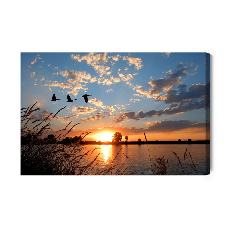 Ljuddämpande tavla - Birds at sunset