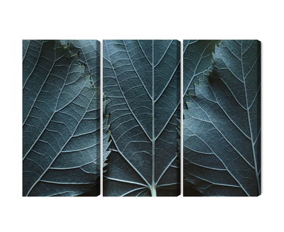 Ljuddämpande tavla - Leaves with a macro