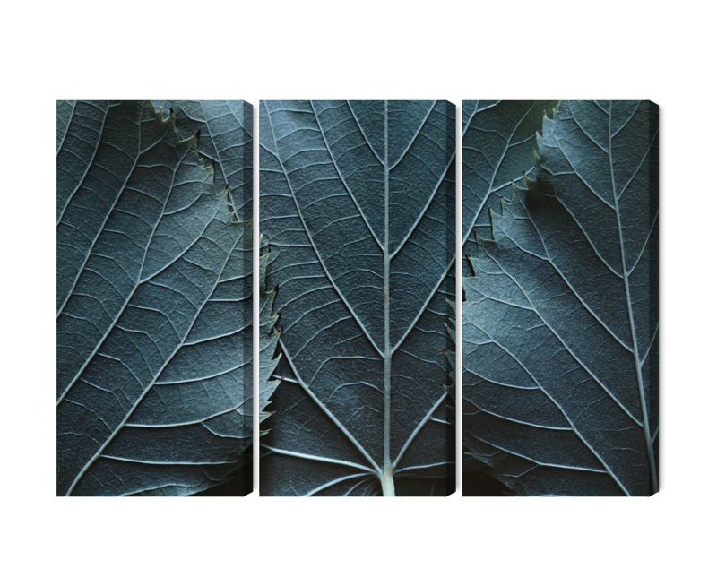 Ljuddämpande tavla - Leaves with a macro