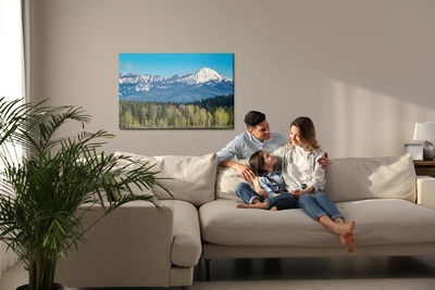 Ljuddämpande tavla - Grand teton national park