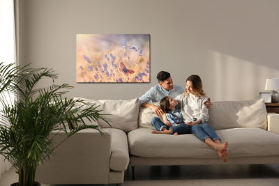 Ljuddämpande tavla - Butterflies among lavender