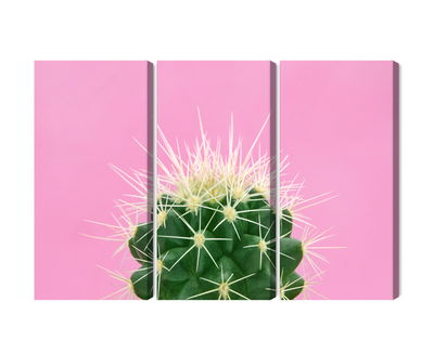 Ljuddämpande tavla - Cactus on a pink background