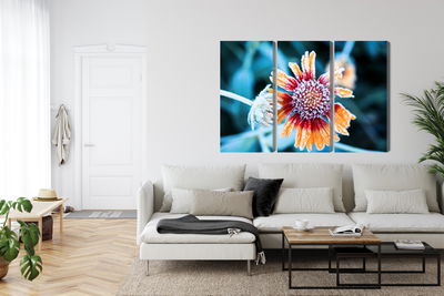 Ljuddämpande tavla - Rudbeckia flowers covered