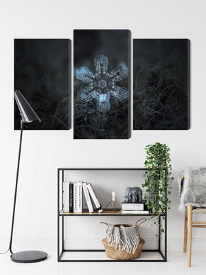 Ljuddämpande tavla - Snow flake in 3d macro scale