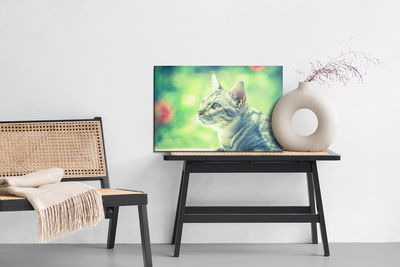 Ljuddämpande tavla - The cat looks like a painted