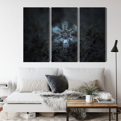 Ljuddämpande tavla - Snow flake in 3d macro scale