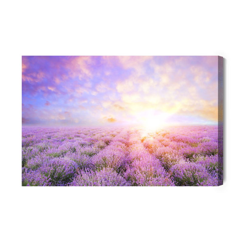 Ljuddämpande tavla - Pastel lavender field