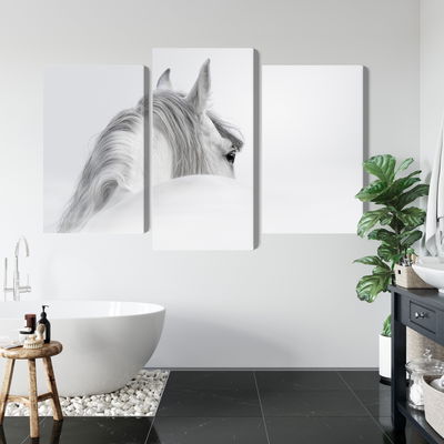 Ljuddämpande tavla - Andalusian horse in the fog