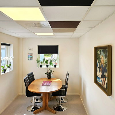 SilentDirect PES Fabric 592x592 -äänieristyslevyt (paksuus 50 mm) asennettuna alakattoon valoisassa kokoushuoneessa