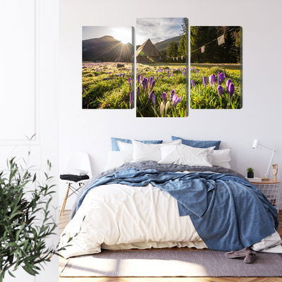 Ljuddämpande tavla - Chocholowska valley