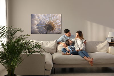 Ljuddämpande tavla - Dandelion close up