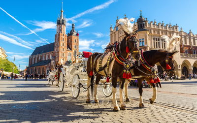 Ljuddämpande tavla - Horse carriages