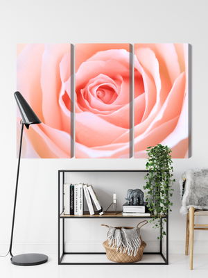 Ljuddämpande tavla - Pastel rose on a 3d macro