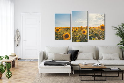 Ljuddämpande tavla - Sunflower field on a summer