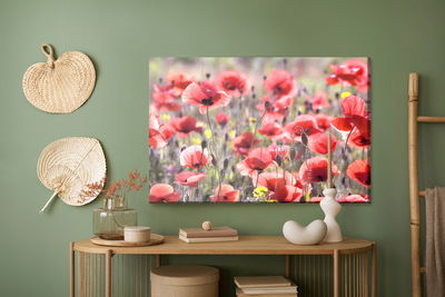 Ljuddämpande tavla - Poppies in the sun