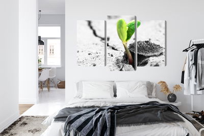 Ljuddämpande tavla - 3d plant sprouting