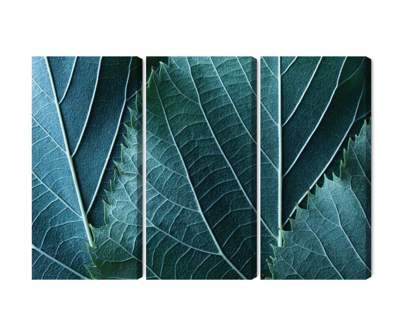 Ljuddämpande tavla - Leaves in a macro scale