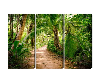 Ljuddämpande tavla - Path in a tropical 3d forest