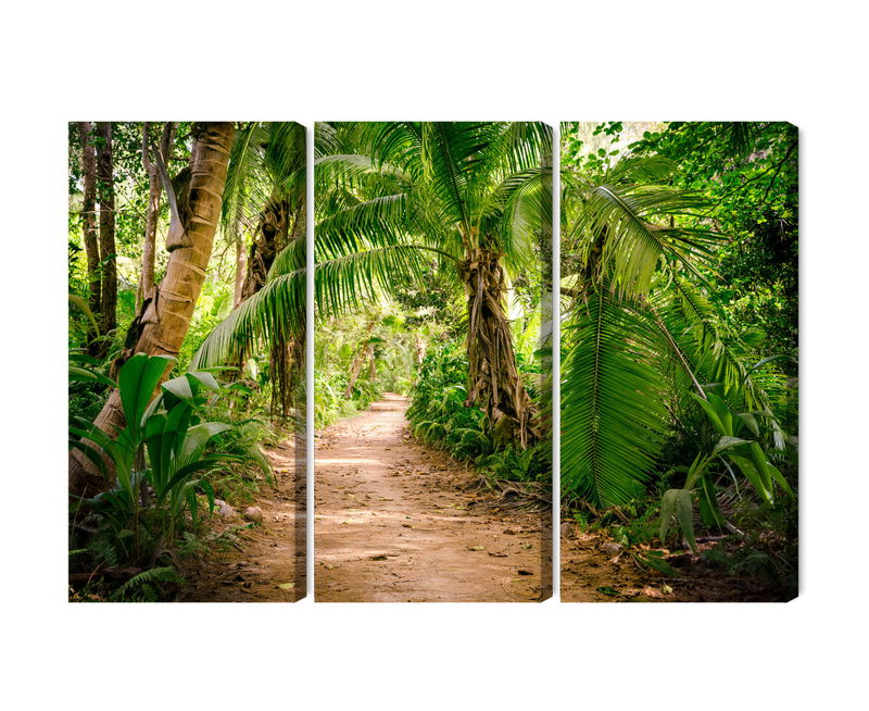 Ljuddämpande tavla - Path in a tropical 3d forest