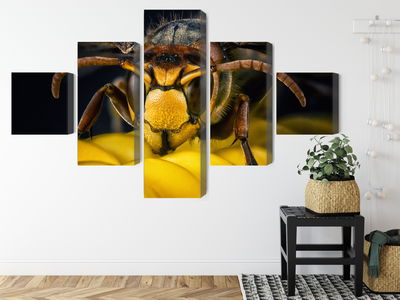 Ljuddämpande tavla - Wasp on a macro scale