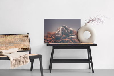 Ljuddämpande tavla - Closeup of coffee beans