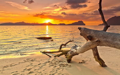 Ljuddämpande tavla - Sea landscape at sunset