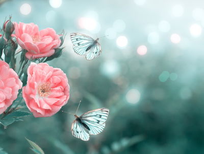 Ljuddämpande tavla - Delicate flowers and 3d