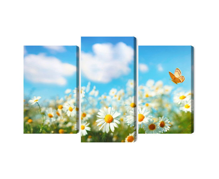 Ljuddämpande tavla - 3d daisy field