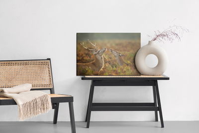 Ljuddämpande tavla - Deer with a doe