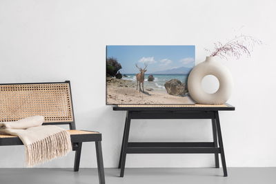 Ljuddämpande tavla - Deer on the beach