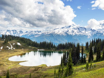 Ljuddämpande tavla - Glacier peak stratovolcano