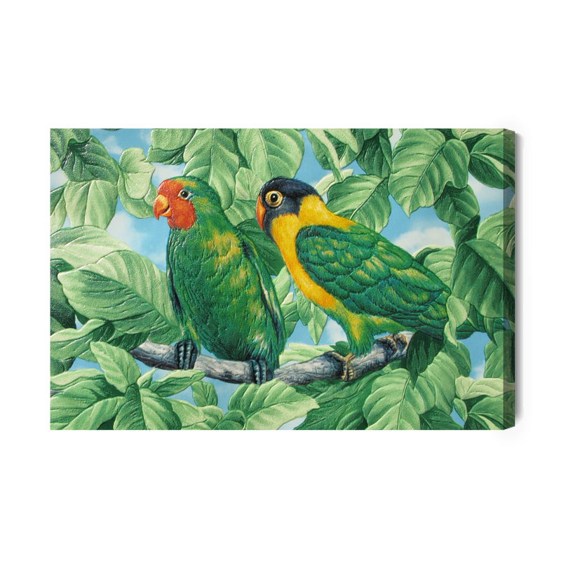 Ljuddämpande tavla - Beautiful colorful parrots