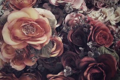 Ljuddämpande tavla - Colourful roses and leaves